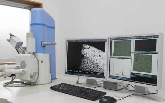 扫描电子显微镜(SEM)/能量色散型X射线荧光分析仪(EDS)