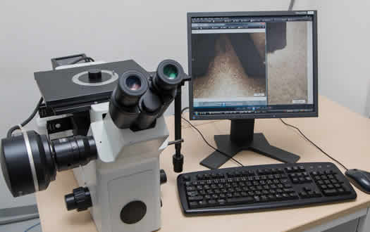 Light Microscope